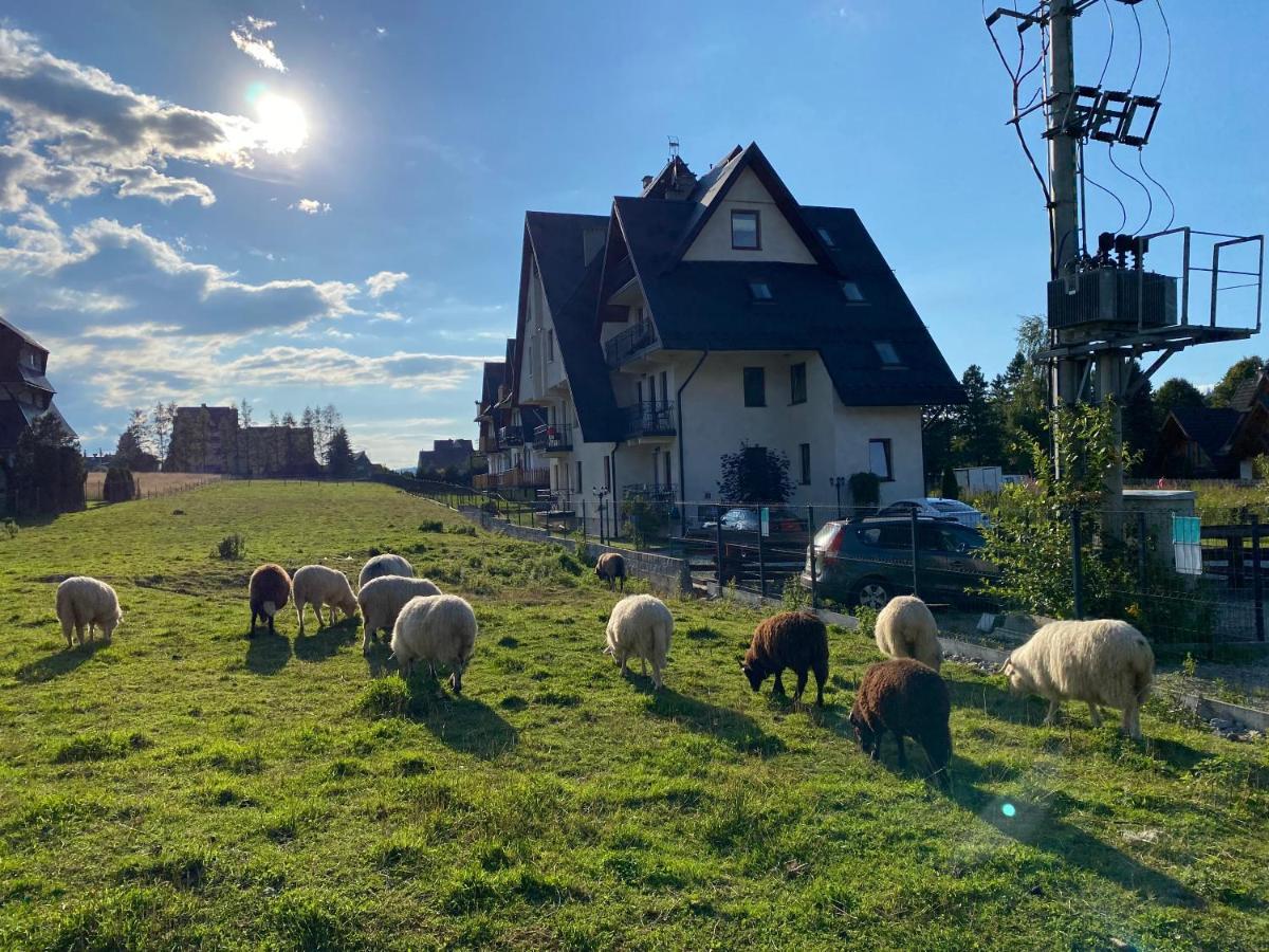 Apartament Goralski Murzasichle Exterior foto
